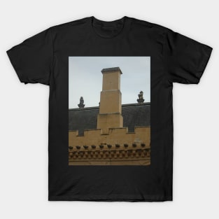 The Lion and The Unicorn, The Great Hall Roof, Stirling Castle T-Shirt